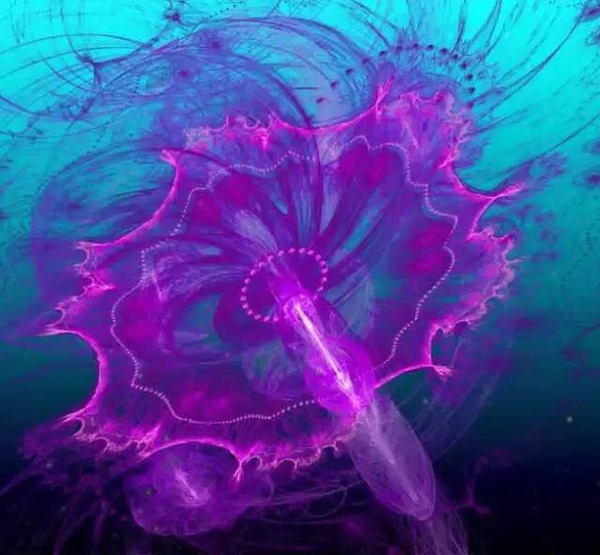ˮĸͺˮһ